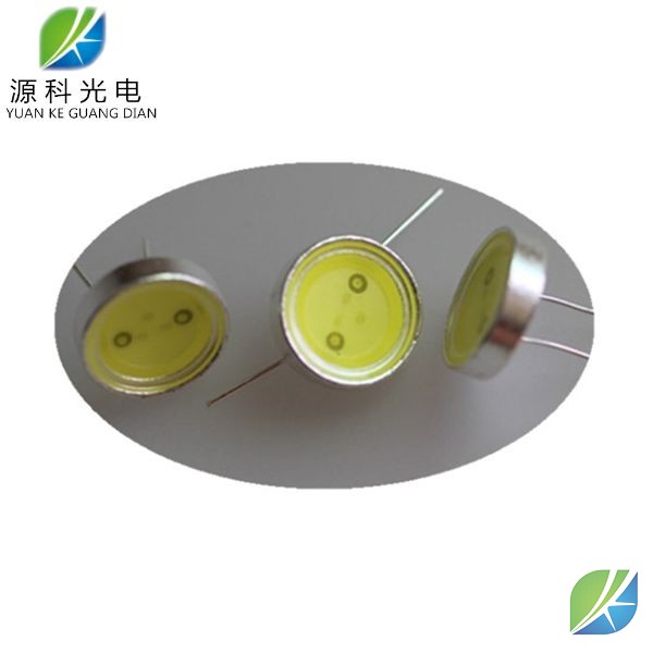 Car light source T4.4MM White 0.5W Led chip